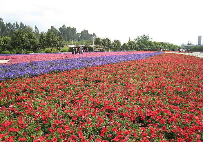 Kunming World Horticultural Exposition Garden